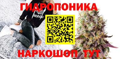 a pvp Мариинск