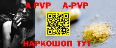 гашик Малгобек