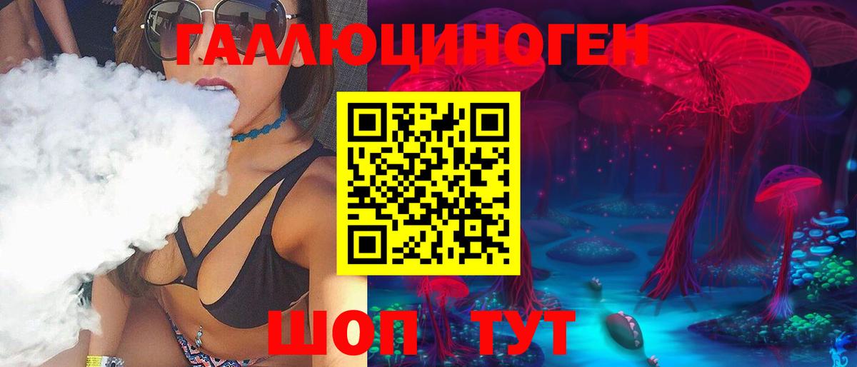 Псилоцибиновые грибы Psilocybe Ижевск