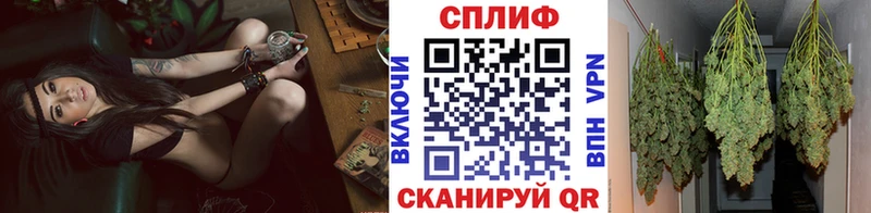 Шишки марихуана гибрид Ижевск